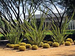 Pin On Our Yard Ideas