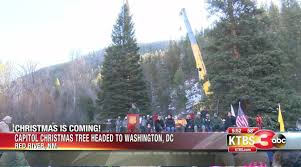 Copyright office alternate title below bar scale: Christmas Tree For The White House Is Headed To Washington Dc Local News Ktbs Com