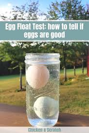 If the egg floats near the top, it's unsafe for consumption. Egg Float Test Tell If Your Expired Eggs Are Still Good To Eat