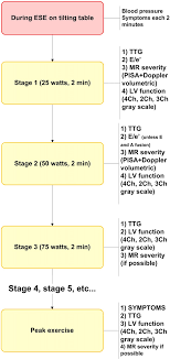 Figure 1 From Exercise Testing In Mitral Regurgitation