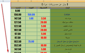 جدول المصروفات الشهرية للشركات