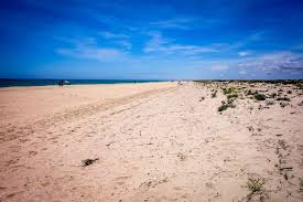 For centuries the tuna industry flourished in algarve, portugal. Tavira Island Portugal 10 Kilometer Lange Insel Aus Sand Nessi S World