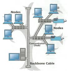 Hasil gambar untuk topologi jaringan tree
