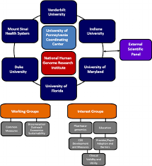 legend organizational structure of the ignite network