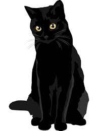 Big cats are more or less similar in anatomy when compared to other cats. Black Cat 2 Png Photo 449 Free Png Download Image Png Archive