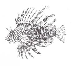 Stippled Lion Fish Lion Fish Fish Drawings Stippling Art Use features like bookmarks, note taking and highlighting while reading how to draw sea animals. stippled lion fish lion fish fish