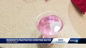 Image result for Pink 1977 Kelvinator