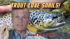 How to Tie the Umpqua Tungsten Dart in Purple with Lance Egan