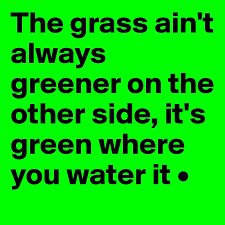However, blocking some types of cookies may impact your experience of the site and the services we are able to offer. The Grass Ain T Always Greener On The Other Side It S Green Where You Water It Post By Technicole On Boldomatic