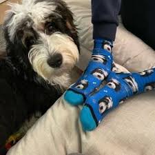 2 items 20% off, 3 items 30% off! 200 Custom Dog Socks Ideas In 2021 Dog Socks Custom Dog Socks