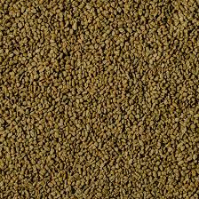 Image result for Trigonella