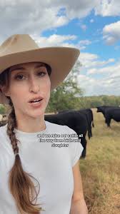 Lily Hill Cattle Controversy