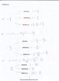 În notatia xn, x se numeste baza şi n se numeste exponentul puerii sau puterea. Pin On È™coalÄƒ