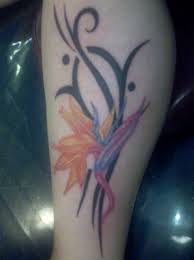 Black Bird Of Paradise Flower Tattoo Http Www Ratemyink Com Images Ul 121 Bird Of Paradise Flower With Tribal Tattoo 121714 Jpeg Bird Of Paradise Tattoo Tattoo Ideas Tumblr Tribal Bird Tattoos