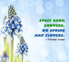 This conflict, known as the space race, saw the emergence of scientific discoveries and new technologies. Month Of May Fun Facts Quotes And Trivia Celebration Joy