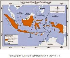 Kemudian peneliti tersebut menerangkan pembagian flora dan fauna di indonesia. Https Nanopdf Com Download Bab 1 Flora Dan Fauna Pdf