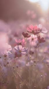 2022 trends of vintage outfits fashion: Vintage Pink Aesthetic Wallpaper Iphone