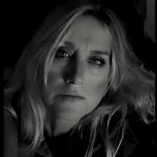 Why have hummingbirds stopped visiting feeders in Nova Scotia?