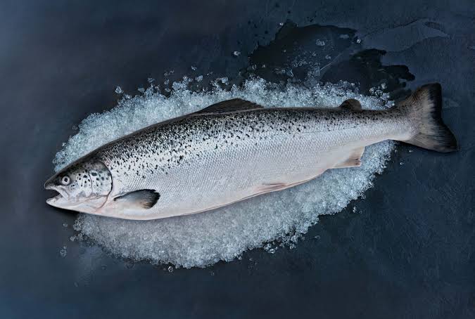 Atlantic Salmon - Pacific Seafood
