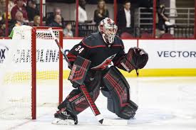 The toronto maple leafs have established their goaltending tandem. Oilers Offseason Targets Petr Mrazek The Sports Daily