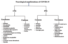 The disease is characterized by slowly progressive weakness and wasting of both proximal muscles (closest to the body's midline). Flow Diagram Depicts Common And Uncommon Central Nervous System Cns Download Scientific Diagram