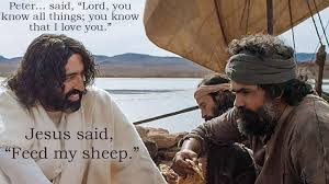 Image result for images peters love for jesus