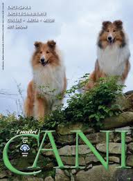 Cineblog 01 parto col folle ita 2018 film completo sottotitoli italiano peter highman è un architetto in trasferta ad atlanta per lavoro. I Nostri Cani Marzo 2017 By Enci Ente Nazionale Cinofilia Italiana Issuu