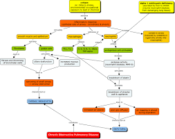 Use the template to easily visualize facts about any other disease. Patho Concept Map Copd What Is The Etiology And Pathogenesis Of Copd