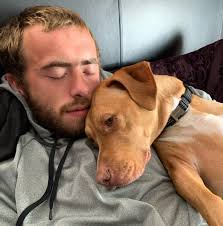 Forza tuning and wheelie tips needed