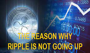 On the news, xrp price climbed by nearly 38% from $1.01 up to a high of $1.39 before correcting and settling why it matters: The Reason Why The Price Of Ripple Xrp Is Not Going Up Steemit