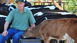 Honours for cream of crop