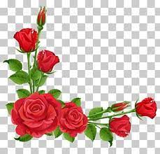 Flower Garden Perennial Plant Pixabay Red Roses Transparent Red Roses Frame Png Clipart Floral Illustration Free Flower Illustration Pink Floral Painting