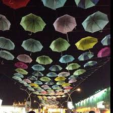 Safiya Salim (safiyasaid)