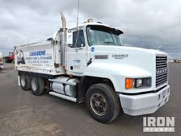 Image result for Gray 1998 Fleet