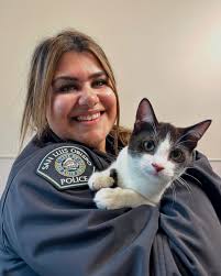 Slooooooow down…at around 11pm