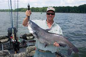 Savannah Tennessee Catfish Capital Of The World Savannah Chat Tennessee Gatlinburg
