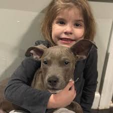 Almost Home Animal Rescue🐾