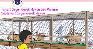 Cerita Bergambar Membuat Gambar Ilustrasi Hewan Kesayanganku Kunci Jawaban Buku Tema 1 Kelas 5 Sub Tema 1 Pembelajaran 2 Con Ilustrasi Hewan Ilustrasi Gambar