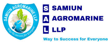 MSME