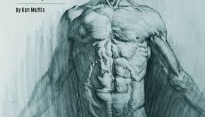 I created a system for it and experimented across many classes until it all worked. Force Dynamic Life Drawing For Animators Art School Database