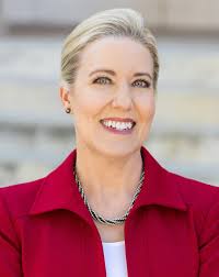 The Board — Irish American Bar Association