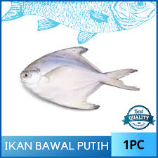 Masak kari ikan putih tanpa santan homemade dari saya untuk dinner. Cl Fresh Ikan Bawal Putih 400g Pcs