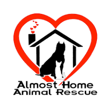 Almost home pet rescue kentucky. Almost Home Animal Rescue Home Facebook