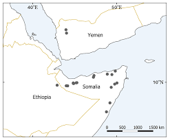 Image result for Cystostemon mwinilungensis