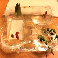 Useful information about how to propagate succulents from leaves and cuttings. Can You Trim A Succulent S Leaves Stems Or Roots Succulent Plant Care