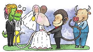 We did not find results for: Chinese Zodiac Is The Rat Your Friend Or Foe The Star