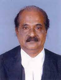 Top Rated Lawyers & Law Firms by Practice Area or Location