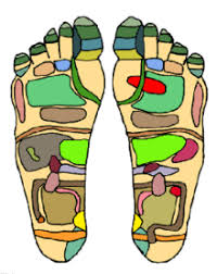 Reflexology Wikipedia