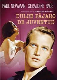 Ver más ideas sobre cine, gráfico, diseño grafico. Dulce Pajaro De Juventud Dvd Amazon Es Paul Newman Ed Begley Madeleine Sherwood Shirley Knight Geraldine Page Rip Torn Richard Brooks Paul Newman Ed Begley Cine Y Series Tv