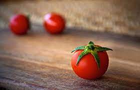 When fed in moderated amounts, yes, your parrot can eat tomatoes. Can Parrots Eat Tomatoes Parrot Website